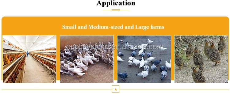 Poultry Scalding Machine for Automatic Chicken Slaughtering Equipment and Process