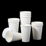 China Wholesale Disposable Coffee Cup 12oz Paper Cup Single Wall Paper Cup