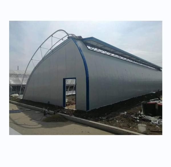 Tomato Strawberry Flower Hydroponic Winter Quilt Greenhouse with Double Layer