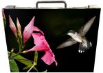 HD Outdoor Stage Rental LED Display P2.976mm 3840Hz No Strips SMD1515 LEDs