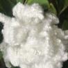 Buy cheap Industrial Recycled Polyester Fiber Fine Diameter For PSF Spandex Fabric from wholesalers