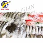 124.3KW 220 Volt SS304 Industrial Flake Ice Maker