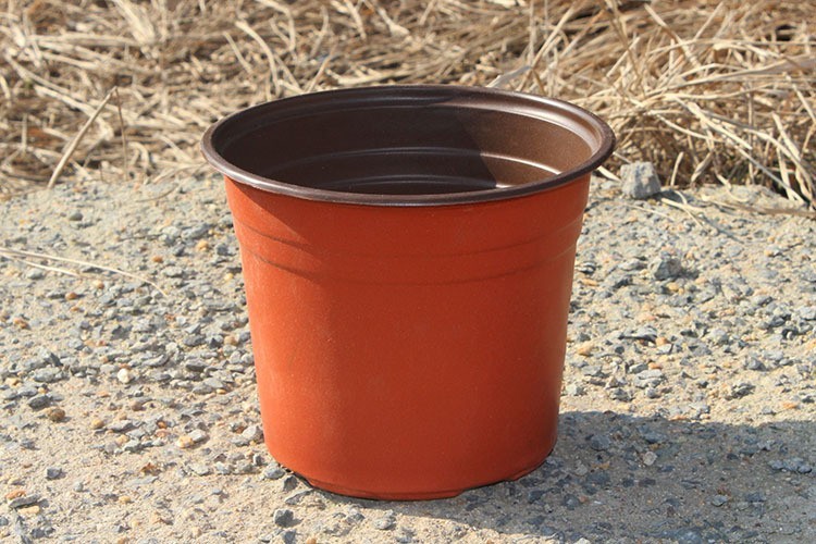 Light and soft black/double-color flower pot dried ginger seedling nutrition pot