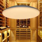 Buy cheap Wifi Ceiling Mounted 30cm 25cm Smart Led Oyster Light For Corridors Hallway from wholesalers
