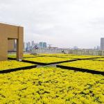 Outdoor Plant Container Roof Plastic Garden System Planter for Decorative Flower