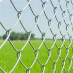 Hot Dip Galvanized Zinc Coated Farm Chain Link Fence 6Ft 8Ft 15m Roll