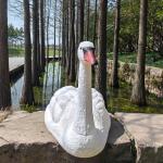 Rester Body Style Hunting Decoy Lifelike Plastic Life Size Swan Decoy for Geese