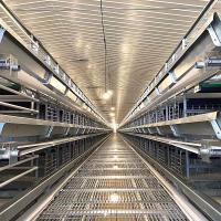 Buy cheap 380V 3phase Farm Layer Chicken Cage For Laying Hens SGS Approval product