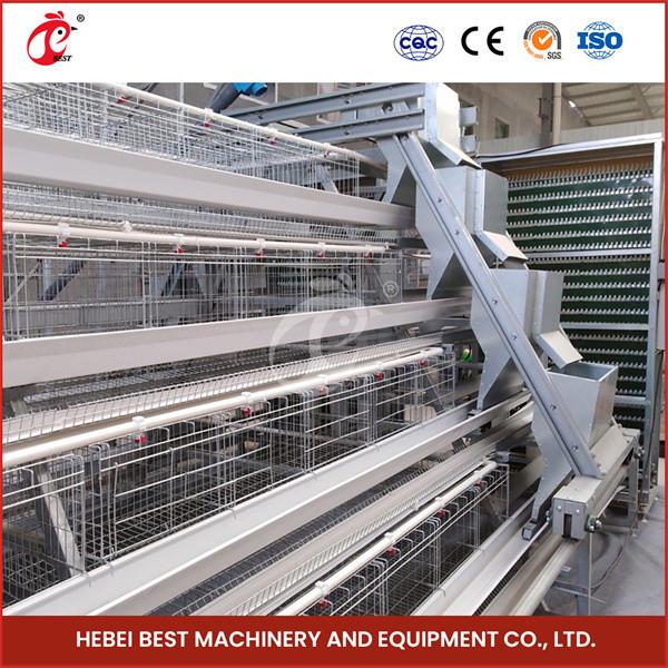 Buy cheap Field Installation Poultry Layer Cage 90/96/120/128/160/200 Capacity Nipple Drinker Star from wholesalers