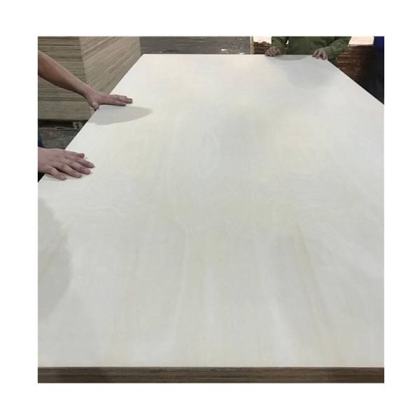 Buy cheap 1220*2440mm Birch Faced Plywood from wholesalers