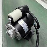 Electric Water Coffee Machine Pump Motor with Capacitor Single Phase Design 350w