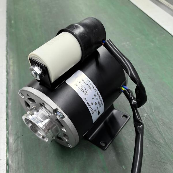 Electric Water Coffee Machine Pump Motor with Capacitor Single Phase Design 350w