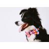 Buy cheap 6cm Purple Kitten Cat Puppy Bow Tie Collar And Lead Set Small Medium from wholesalers