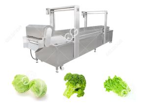 Wholesale Automatic Food Precooking Vegetable Blanching and Cooking Machine from china suppliers