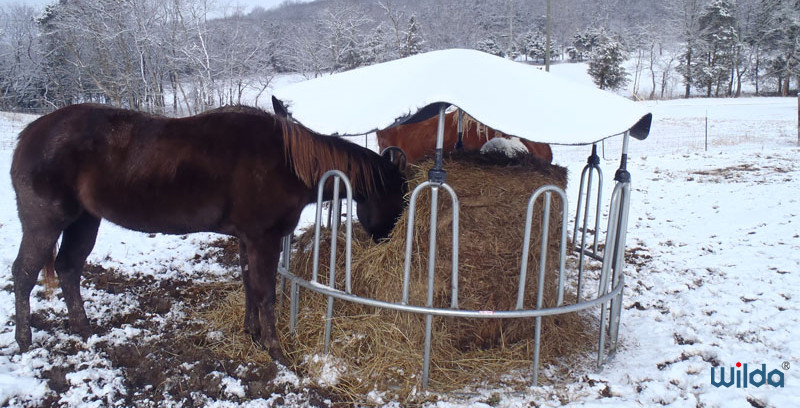 Multi Purpose Horse Round Bale Feeders For Cattle 2000mm OD