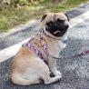 Buy cheap Small And Medium Sized 1kg Dog Traction Rope / Pet Chest Strap from wholesalers