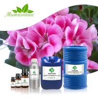 Buy cheap ODM Rose Geranium Essential Oil Skin Care Fragrance Aromatherapy product