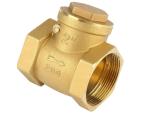 DN50 Female Thread Brass Non Return Swing Check Valve 232PSI