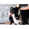 Buy cheap 3.66m 12 Foot Anti Pull Dog Leash No Pull Lead For Dogs from wholesalers