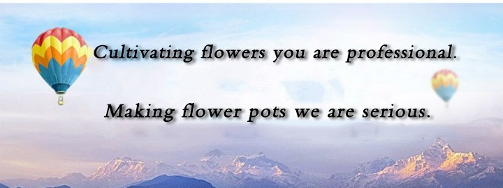 Light and soft black/double-color flower pot dried ginger seedling nutrition pot