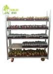 Nobler Danish Container Equipment Galvanized CC Flower And Plant Trolleys