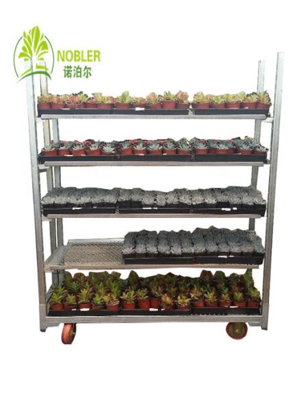 Buy cheap Hot Galvanizing Seedling Car Germination Car Flower Frame Car Spot Available from wholesalers