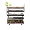 Buy cheap Hot Galvanizing Seedling Car Germination Car Flower Frame Car Spot Available from wholesalers