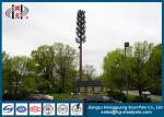 30m Steel Disguised Pine Tree Telecommunication Towers Polygonal Galvanized