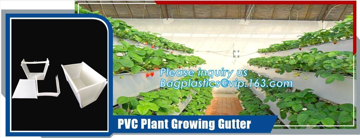 Transparent / Black / Silver / White color Plastic PE LDPE Agriculture Mulching Film,panda strawberry mulch film/black w