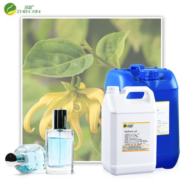 Buy cheap Branded Perfume Body Spray Fragrance Concentrated Bulk Distributor from wholesalers