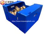 Vegetables Fruits PP Corrugated Plastic Storage Boxes