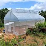 Cheap Good Price Plastic Film Tropical Tunnel House Single-Span Sawtooth Top