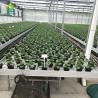 Buy cheap Stable Eco Friendly Greenhouse Flood Benches 2.44m-20m Nursery Rolling Benches from wholesalers