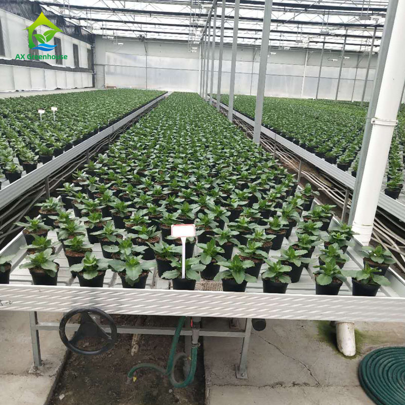 ABS Panel Ebb Flow Tray Medical Plants Greenhouse Rolling Benches Single Layer