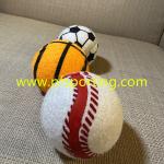 strong dog ball
