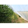 Buy cheap Anti-Insect, Anti -Hail Mesh Netting, Agriculture, Crop Cover Netting, Fruit Tree Cover, Greenhouse Cover Nets from wholesalers