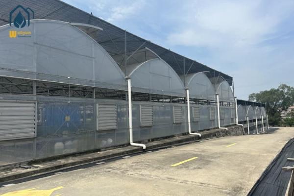 Buy cheap Organic Farming Multi Span Greenhouse Large Commercial Greenhouses from wholesalers