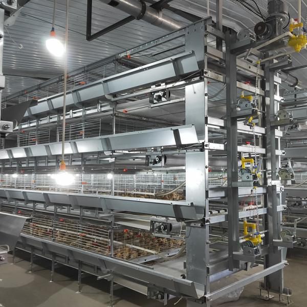 Buy cheap 40000 Birds Baby Chick Cage from wholesalers