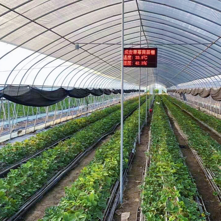 Low Cost Agricultural Tunnel Greenhouses with Greenhouse Hydroponics System