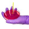 Buy cheap Smooth Surface Sterile Petri Dish Medical Laboratory from wholesalers