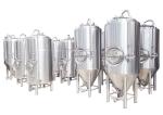 Stainless Steel 304 25 Gallon Conical Beer Fermenter