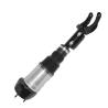 Buy cheap Mercedes Benz Airmatic Suspension Shock Absorber C292 W292 2923204513 1663206866 from wholesalers