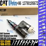 Fuel Diesel Injector 137-2500 10RO963 229-5918 212-3463 212-3464 for CAT C10