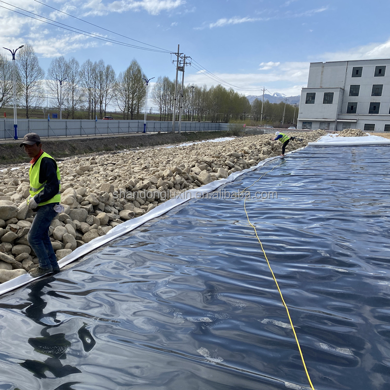 0.5mm to 2.5mm Prefabricated Smooth Geomembranes for Fish Pond Liner Project Solution