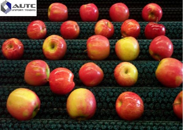 Buy cheap High Efficiency Cylindrical Roller For Fruit&Vegetable Cleaning Brush Galvanized Metal Yellow Green from wholesalers