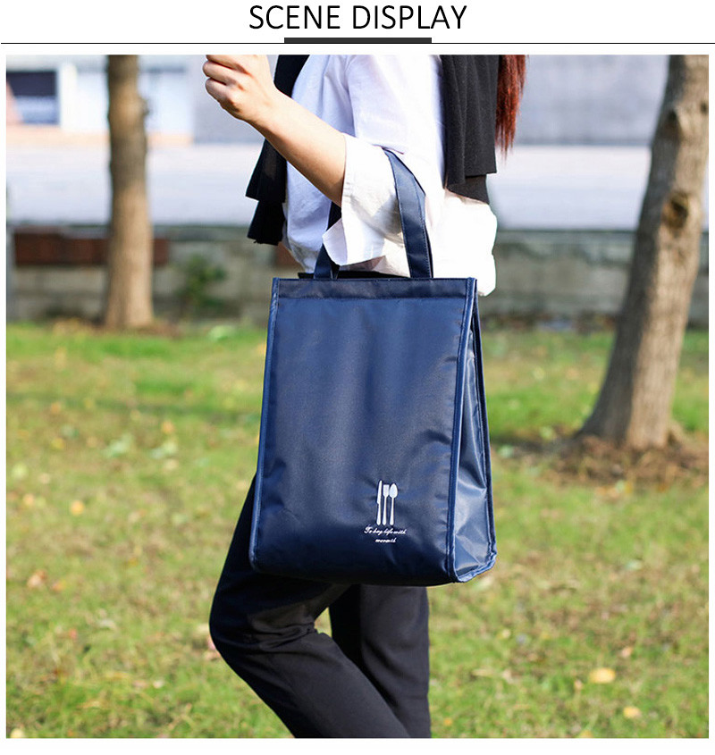 Folding BPA Free Oxford Insulated Lunch Cooler Bags