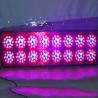 Buy cheap aeroponic system led panel grow light 600watt 3w chips powerful bloom led grow lights gree from wholesalers