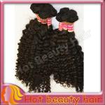 Brazilian Virgin Human Hair Extensions Brown , Remy Big Curl Hair