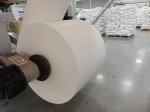 Virgin Paper Cup Fan PE Coated Roll 150-320GSM Cup Stock Paper