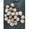Buy cheap Xinjiang organic walnuts that meet international import standards are sold wholesale on Amazon from wholesalers